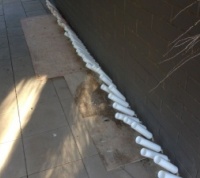 Gravity feeding Bricks @ Torrens Park